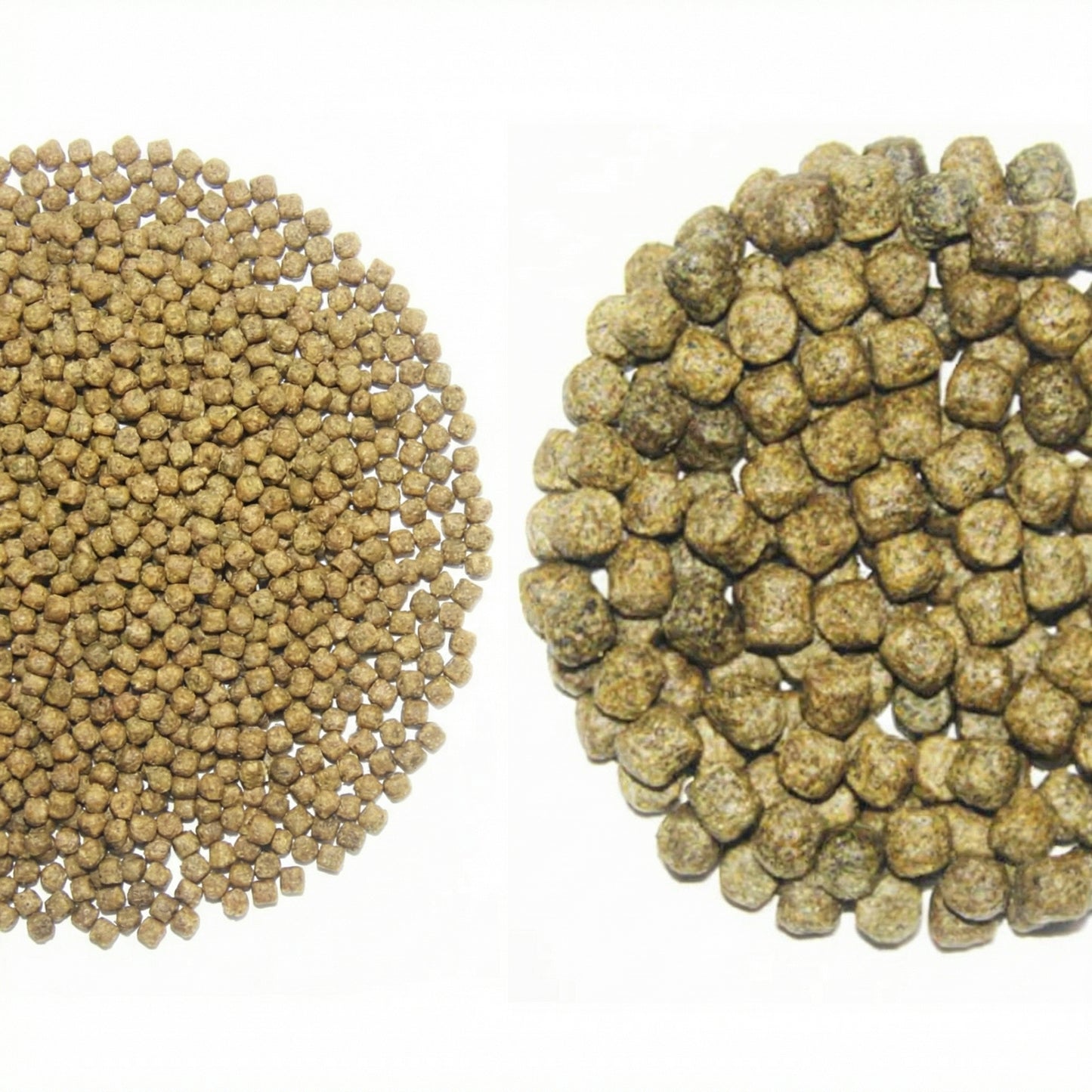 Alltech-Coppens Staple 15 kg – Das tägliche Basisfutter für Koi