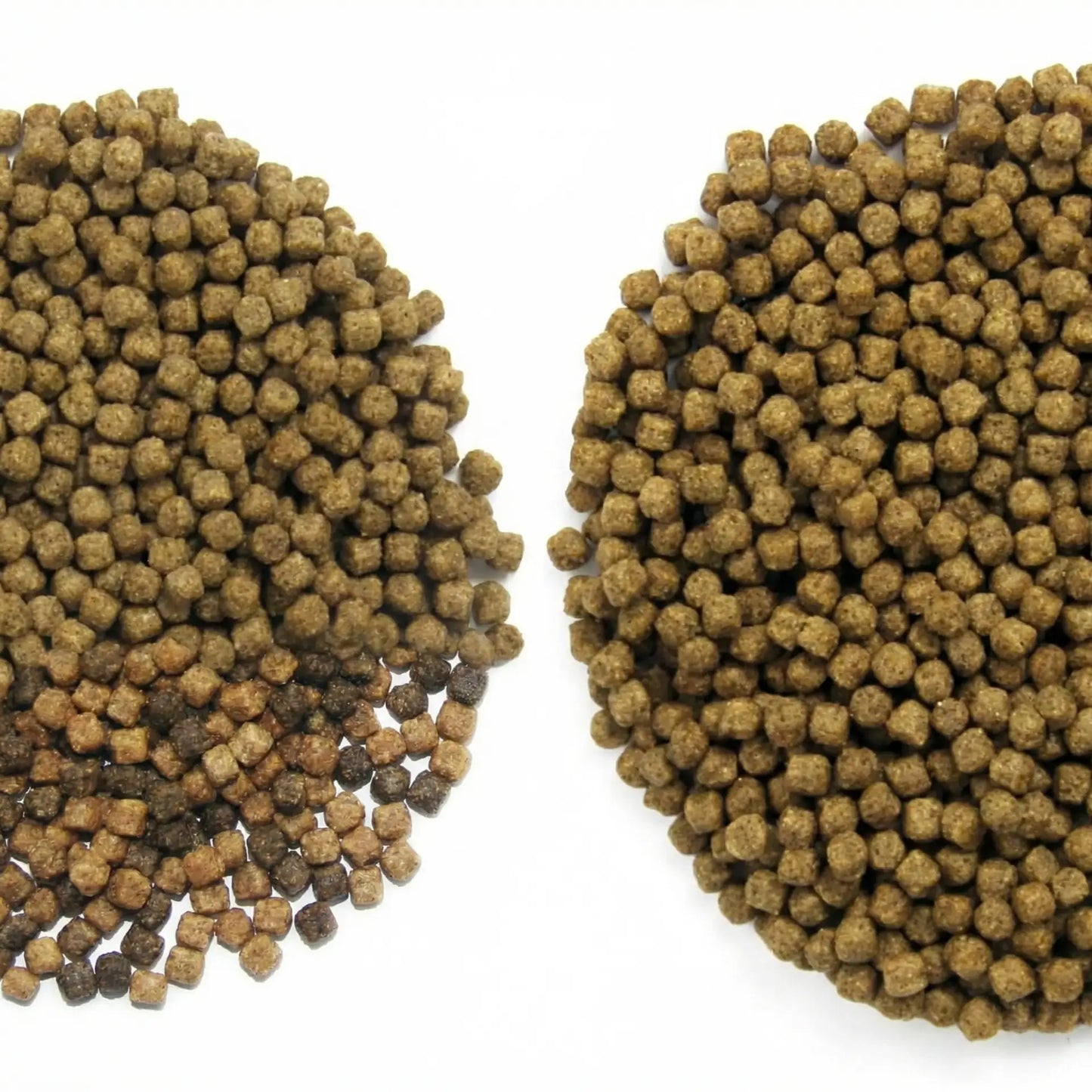 Alltech-Coppens Wheat Germ Koifutter 15 kg – Premium Winterfutter für Koi