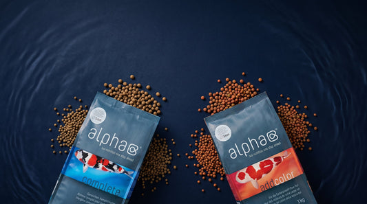 Das Alpha-System: Ganzjahresfutter & Farbintensivierung kombinieren