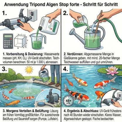 Algen Stop forte Anwendung