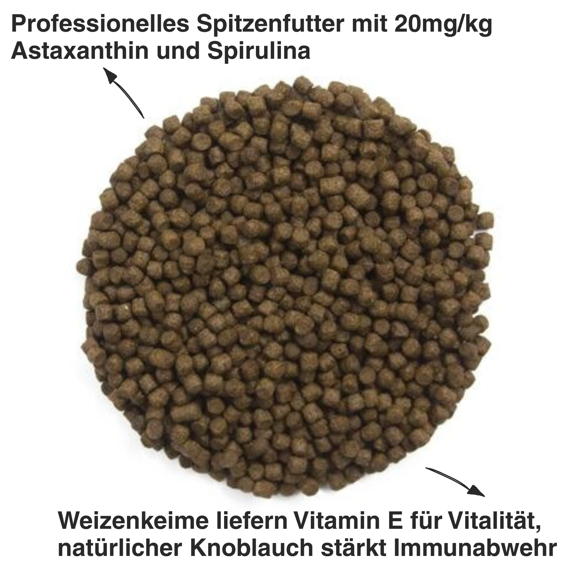 Coppens Profi Koifutter Top Koi