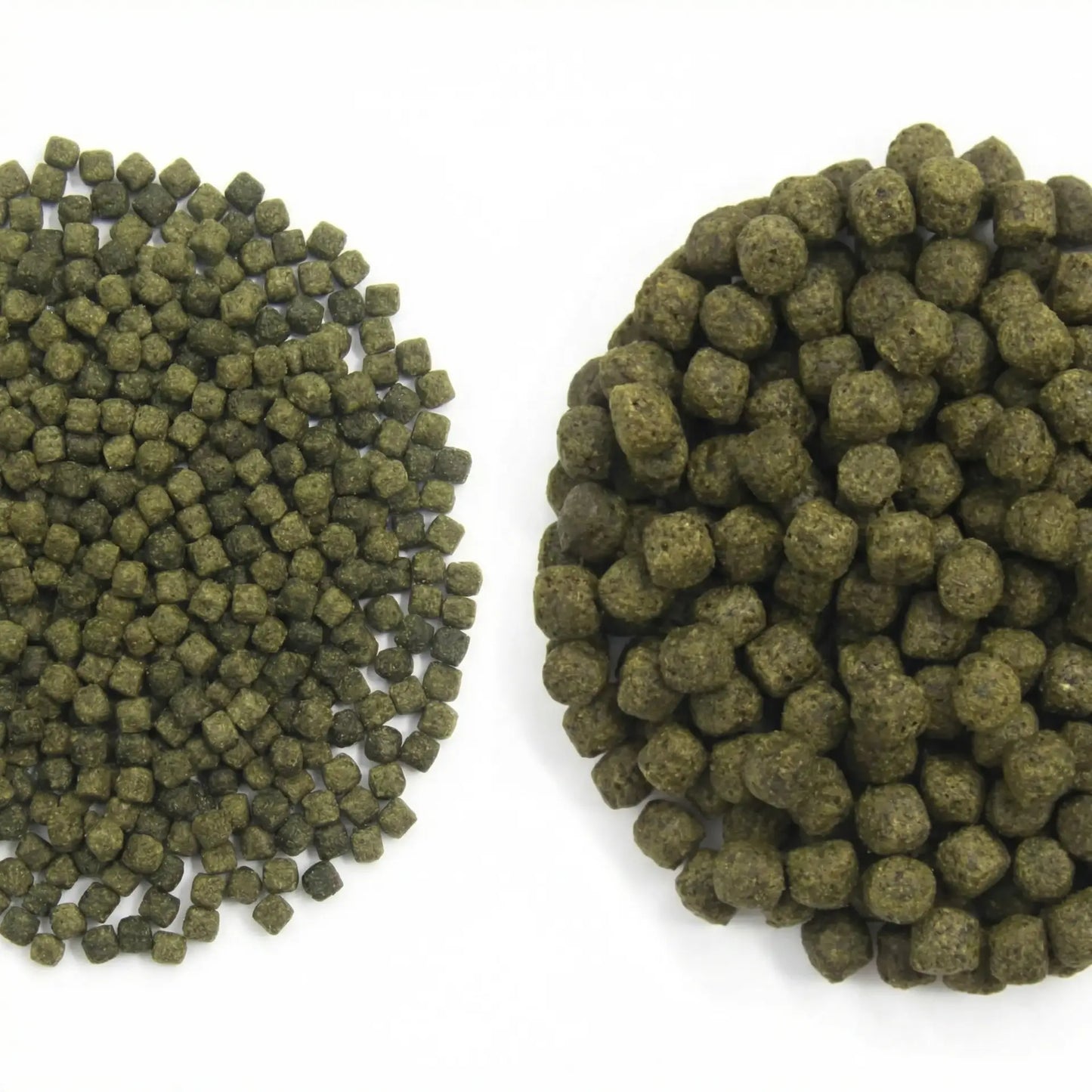 Alltech Coppens Spirulina Koifutter 15 kg – Natürliches Koi Farbfutter