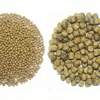 Alltech-Coppens Staple 15 kg – Das tägliche Basisfutter für Koi