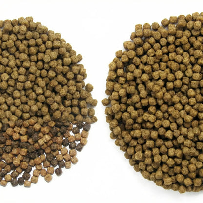 Alltech-Coppens Wheat Germ Koifutter 15 kg – Premium Winterfutter für Koi