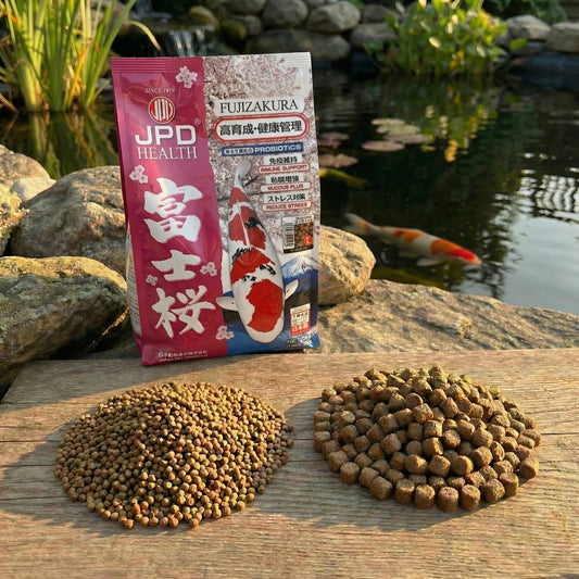 JPD Fujizakura Koifutter 5 & 10 kg – Immunstärkendes Premium Futter für Koi