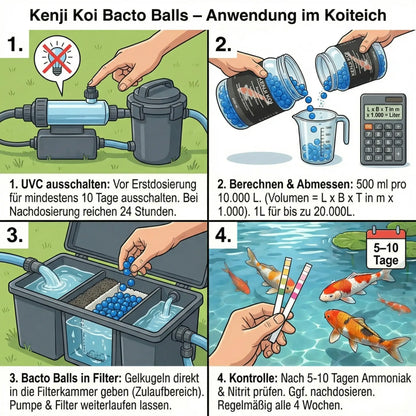 Kenji Koi Bacto Balls Anwendung