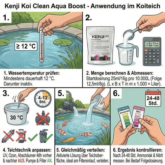Kenji Koi Clean Aqua Boost Anwendung