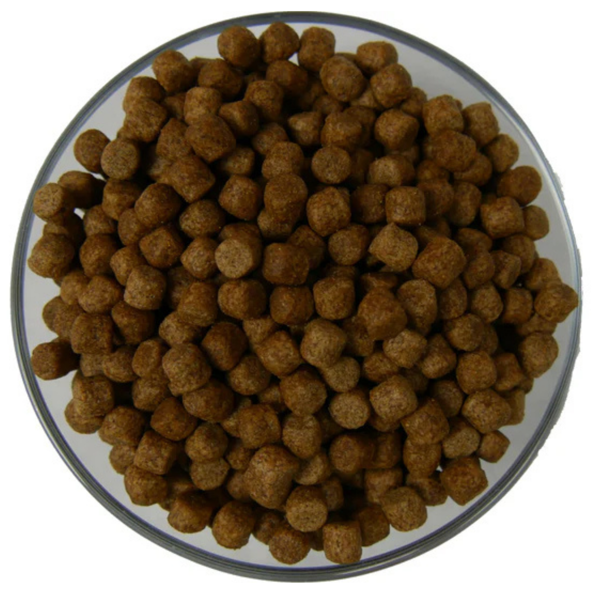 Astaxanthin Spirulina Koifutter intensive Farbentwicklung