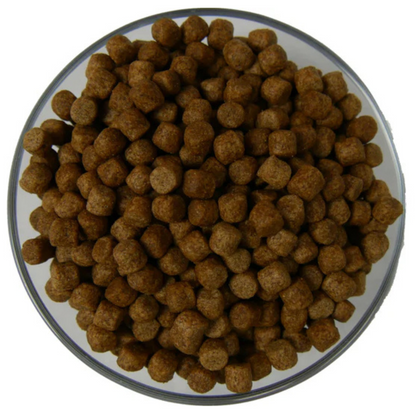 Astaxanthin Spirulina Koifutter intensive Farbentwicklung