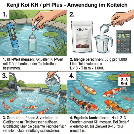 Kenji_Koi_KH_Ph_Anwendung