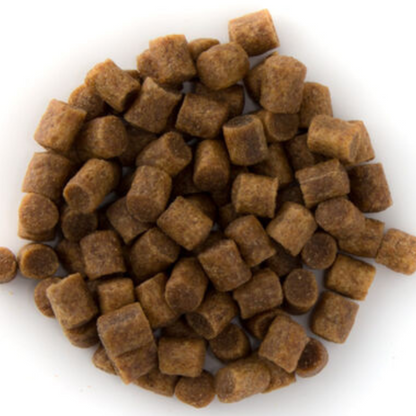 Alltech-Coppens Winter sinkend 25 kg – Profi Winterfutter für Koi (4-12 Grad C°)