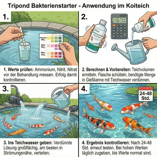 Tripond Bakterienstarter – Teichfilter schnell einfahren & Wasserqualität verbessern