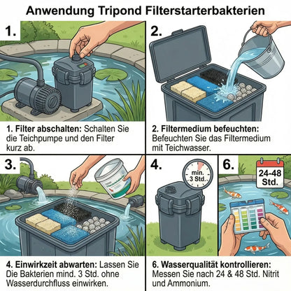 Tripond Filterstarterbakterien Anwendung