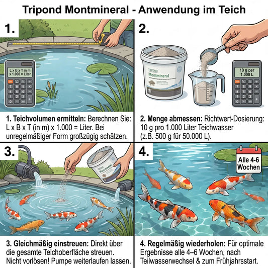 Tripond Montmineral Anwendung