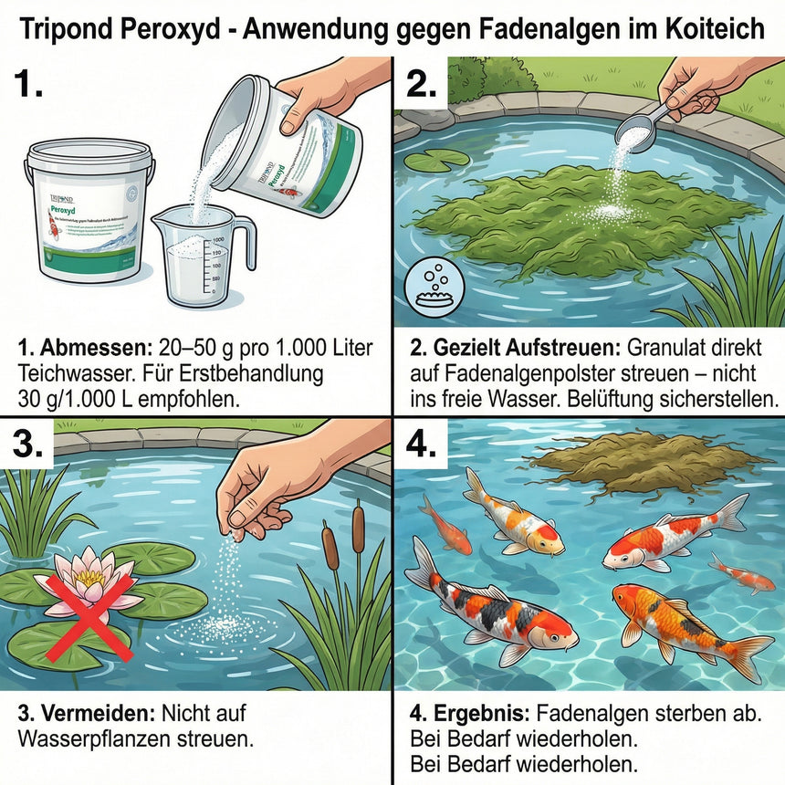 TRIPOND Peroxyd Anwendung: Granulat gezielt auf Fadenalgenpolster streuen