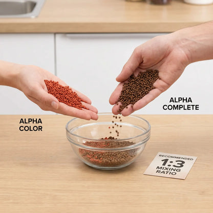 Alpha Color Mischverhältnis Ergänzungsfutter Alpha Complete Anwendung
