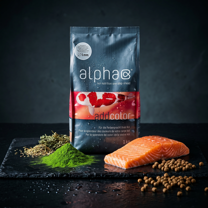 Alpha Color Ergebnis Kohaku Koi intensive Farbpracht rote Schuppen