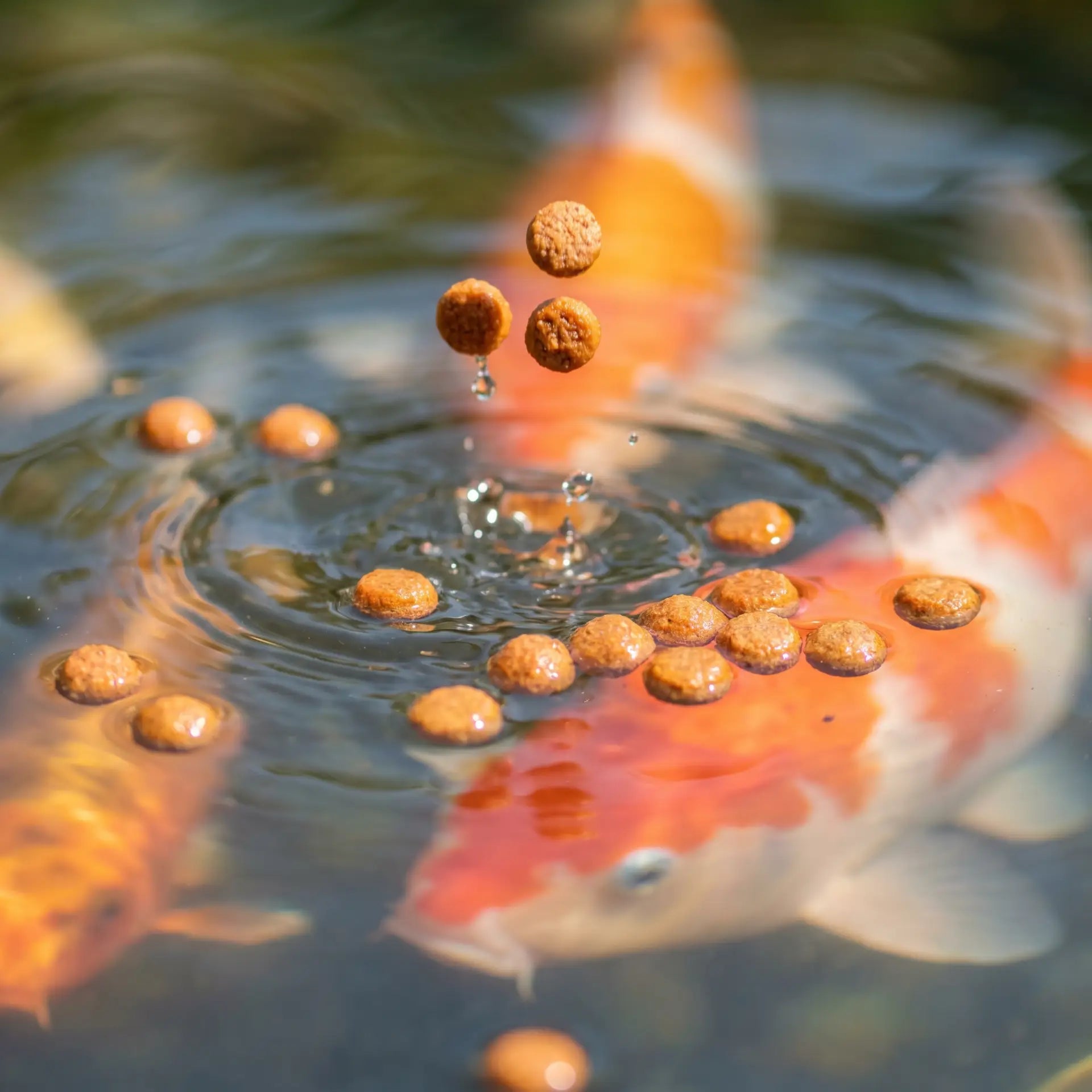 JPD Yamato Farbfutter Pellets 4 mm – Schwimmende Koi Farbpellets für alle Koigrößen