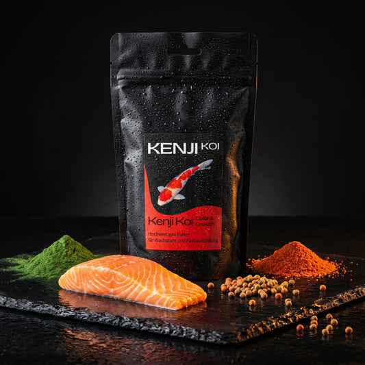 Kenji Koi Color & Growth 5 kg auf schwarzem Naturschiefer mit frischem Lachs, Spirulina-Pulver und Astaxanthin-Granulat – Koi Farbfutter und Wachstumsfutter mit natürlichen Farbverstärkern