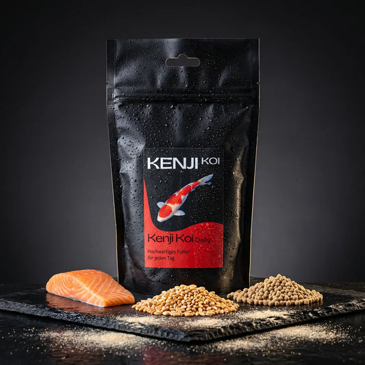 Kenji Koi Daily Food 5 kg auf schwarzem Naturschiefer mit frischem Lachsstück, Weizenkörnern und Profi-Pellets – schwimmendes Ganzjahresfutter für Koi ab 10 °C, Made in Germany