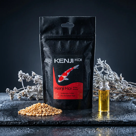 Kenji Koi Winter Balance auf schwarzem Naturschiefer mit goldenen Weizenkörnern, Weizenkeimöl-Fläschchen und Winterkräutern – sinkendes Winterfutter für Koi bei 4-12 Grad Celsius