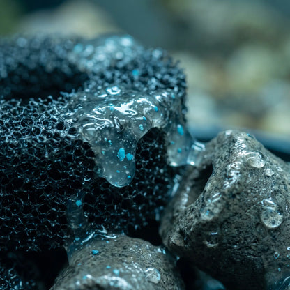 TRIPOND Bacto Balls aktiv – Biofilm aus Nitrifikationsbakterien 
siedelt sich auf den Filtermedien an – Wirkungsweise der Gelkugeln