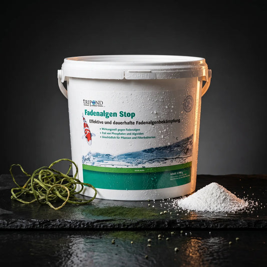 Tripond Fadenalgen Stop Granulat auf schwarzem Schiefer mit natürlichen Fadenalgen-Strängen und mineralischem Wirkstoffgranulat – Produktfoto Algenbekämpfung Teich