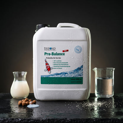 TRIPOND Pro-Balance Flüssigkeit auf schwarzem Naturschiefer mit milchiger Bakterienkultur-Flasche, Koi-Pellets mit aufgetropftem Probiotikum und kristallklarem Wasser – probiotischer Futterzusatz mit lebenden Milchsäurebakterien für Immunsystem und Wasserqualität im Koiteich
