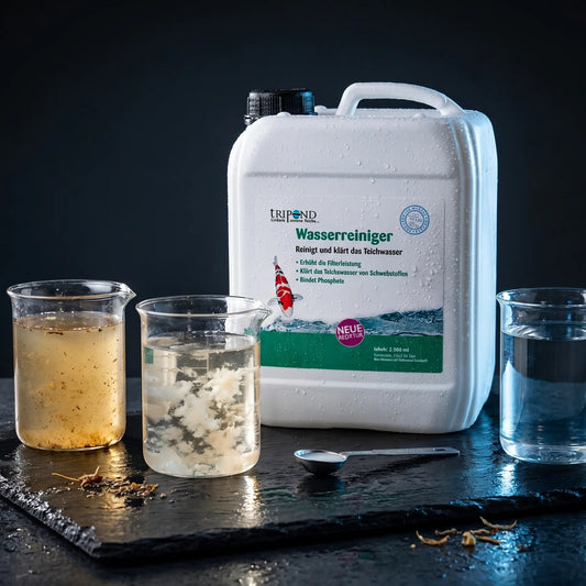 Tripond Wasserreiniger auf schwarzem Naturschiefer – drei Glasgefäße zeigen trübes Teichwasser, weiße Flockenbildung und kristallklares Ergebniswasser – natürliches Filterhilfsmittel gegen Schwebstoffe im Teich, sichtbar klares Wasser in 24 Stunden